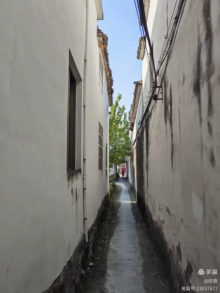 义乌市江湾村随拍